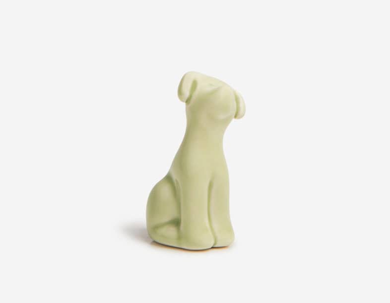 Companheiros Cão - Rosa Malva